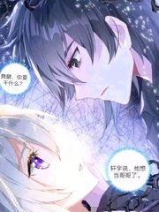 深入了解 菠萝导航